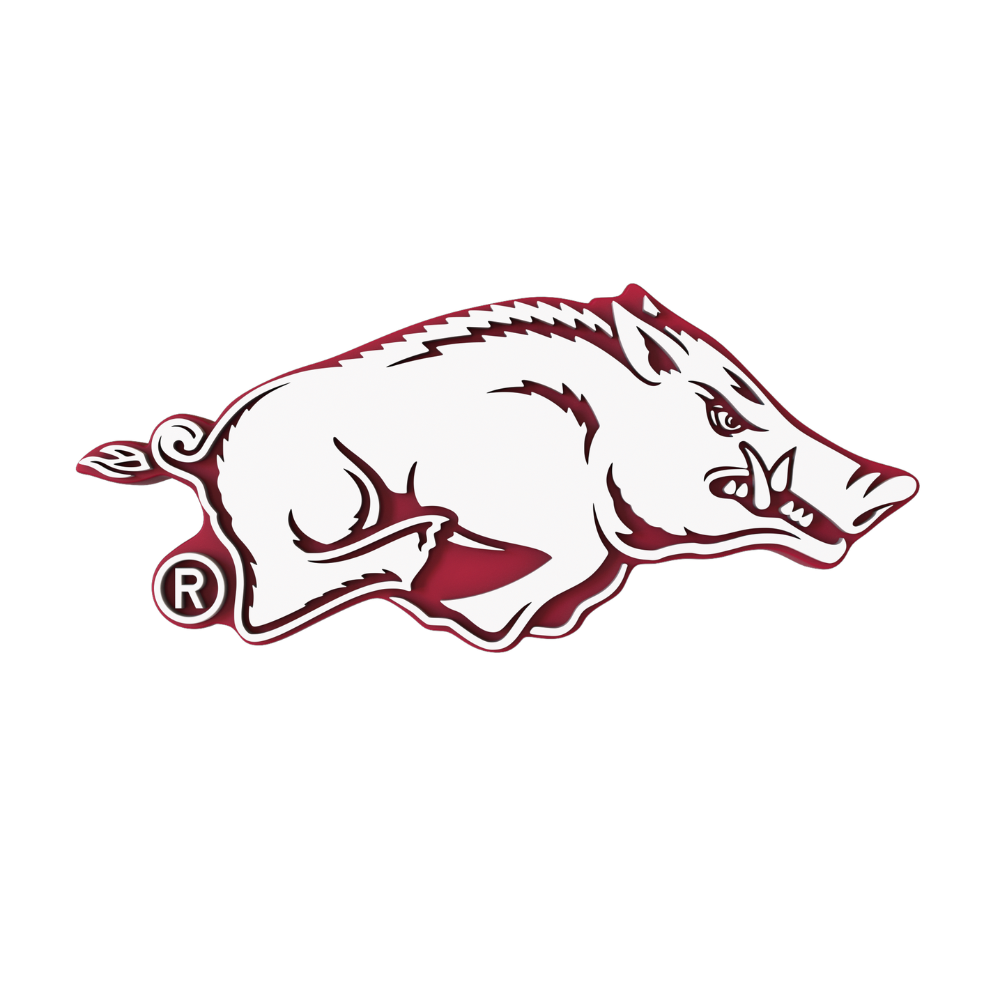 Budz | Arkansas Razorbacks image 1