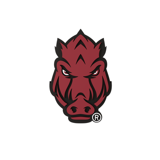 Budz | Arkansas Razorbacks image 1