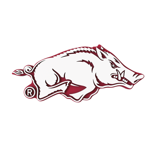 Budz | Arkansas Razorbacks image 1