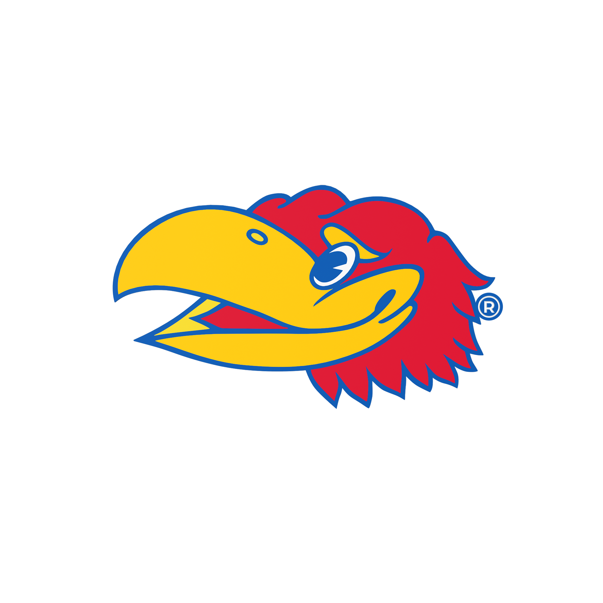Budz | Kansas Jayhawks image 1