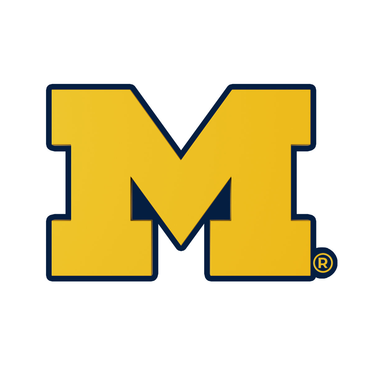 Budz | Michigan Wolverines image 1